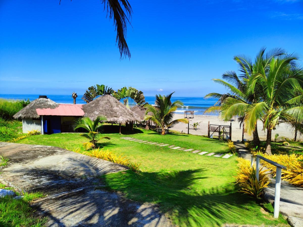 Hotel Punta Azul Pedernales Zewnętrze zdjęcie